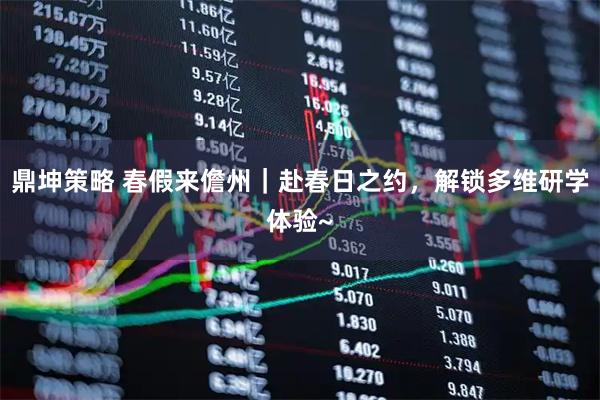 鼎坤策略 春假来儋州｜赴春日之约，解锁多维研学体验~