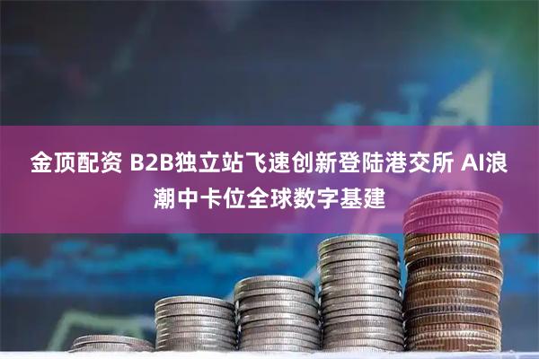 金顶配资 B2B独立站飞速创新登陆港交所 AI浪潮中卡位全球数字基建