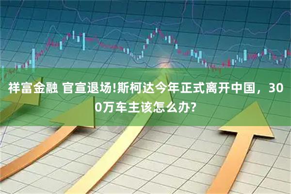 祥富金融 官宣退场!斯柯达今年正式离开中国，300万车主该怎么办?