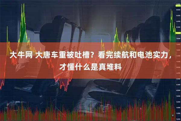 大牛网 大唐车重被吐槽？看完续航和电池实力，才懂什么是真堆料
